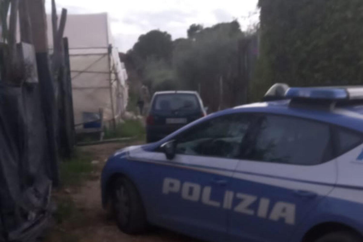 Da Vicenza a Gela per coltivare canapa, ladri rubano 1800 piante alla "Green hope" -