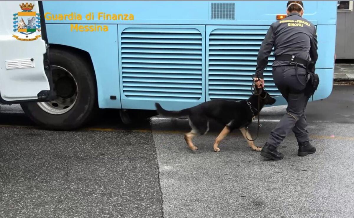 Sequestrati a Messina 10 kg di hashish, arrestato corriere - 