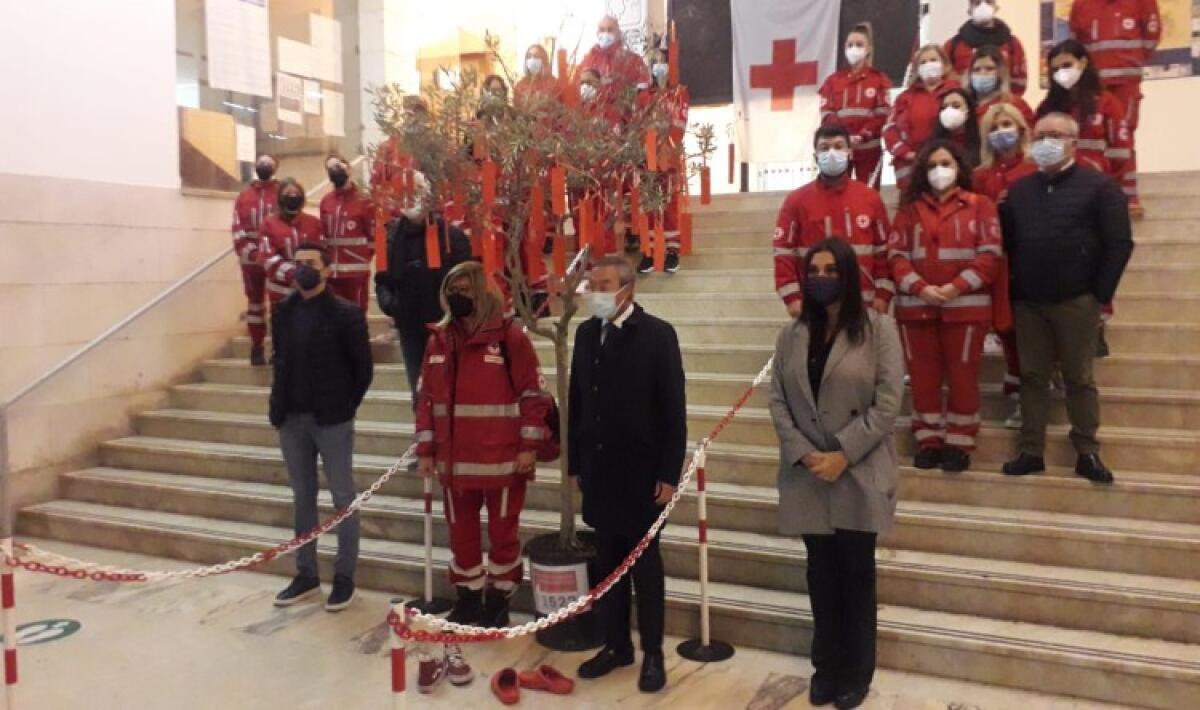 "Violenza di genere è una piaga sociale", il 25 novembre di sindaco e giunta - 