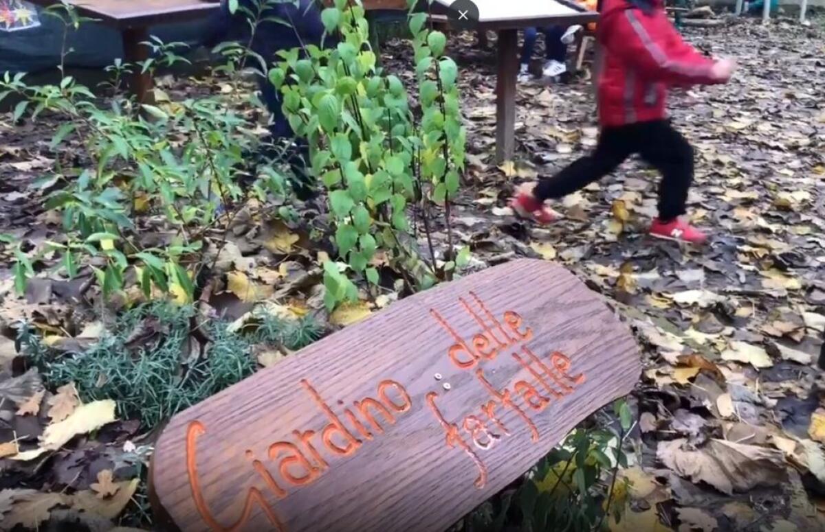 Wwf-P&amp;G, 2000 mq di verde per gli alunni delle scuole italiane - 