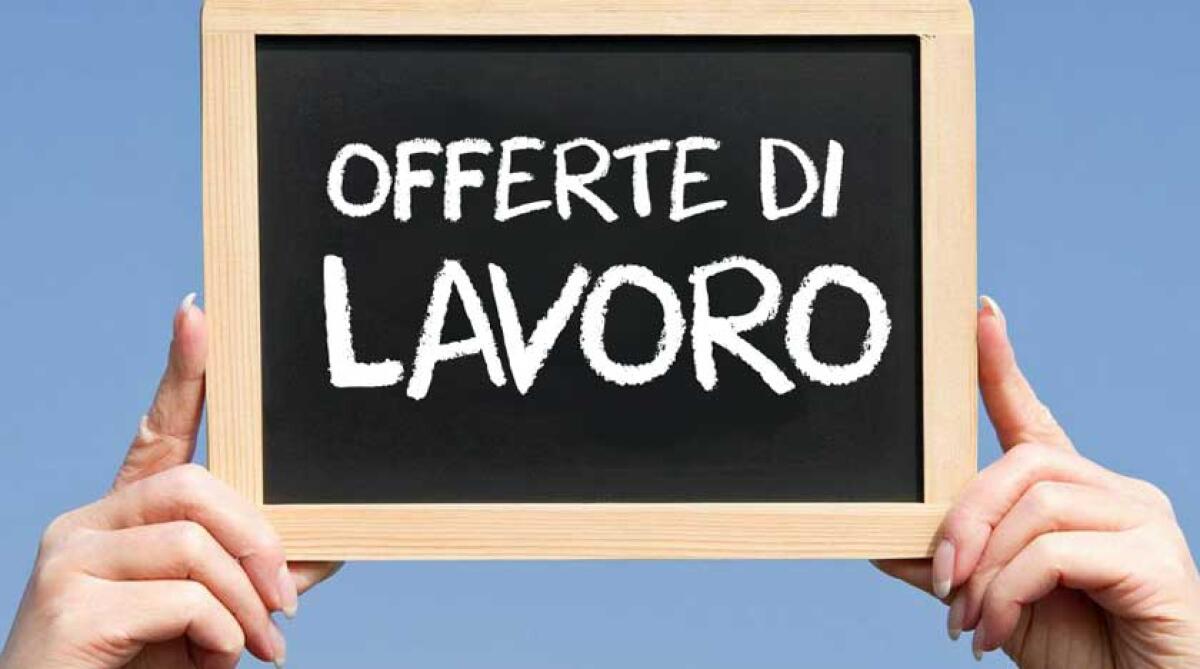 Offerte di lavoro, società assume nel settore ristorazione e pulizie - 