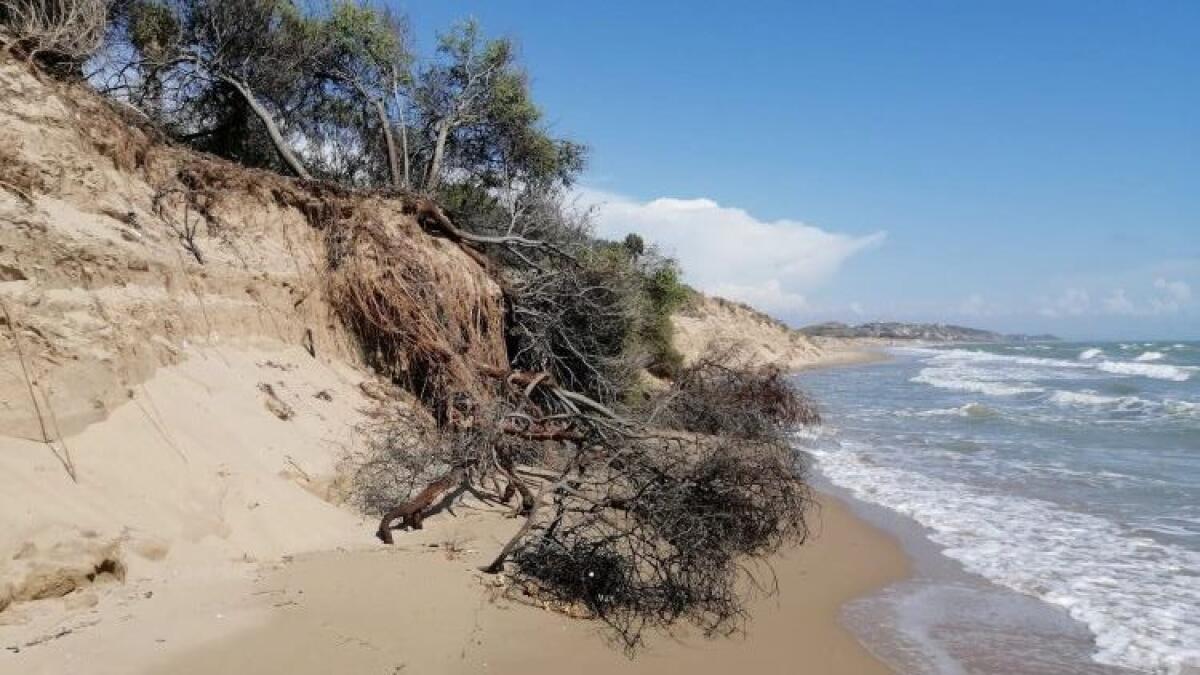Dal lungomare a Manfria, "l'erosione avanza": commissione, "servono interventi urgenti" - La spiaggia completamente "mangiata" dal mare a Manfria