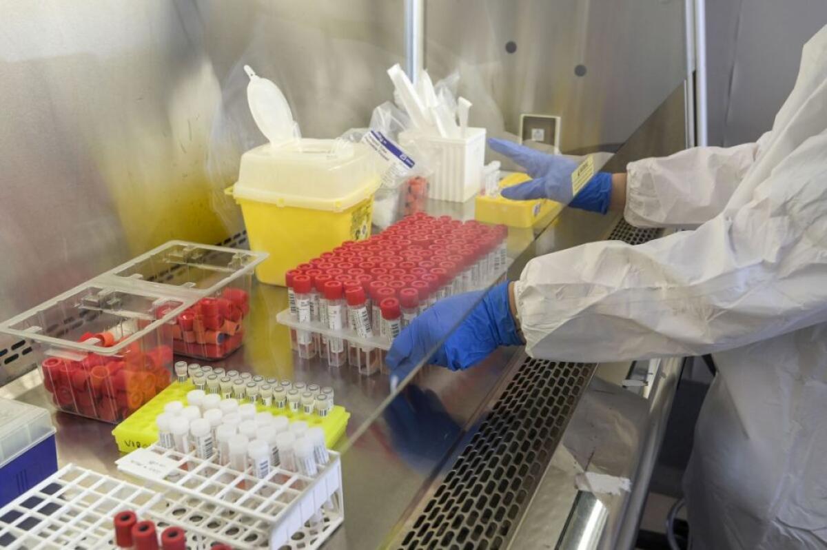 Sette nuovi casi Covid in città, due guariti: in totale 52 positivi - 