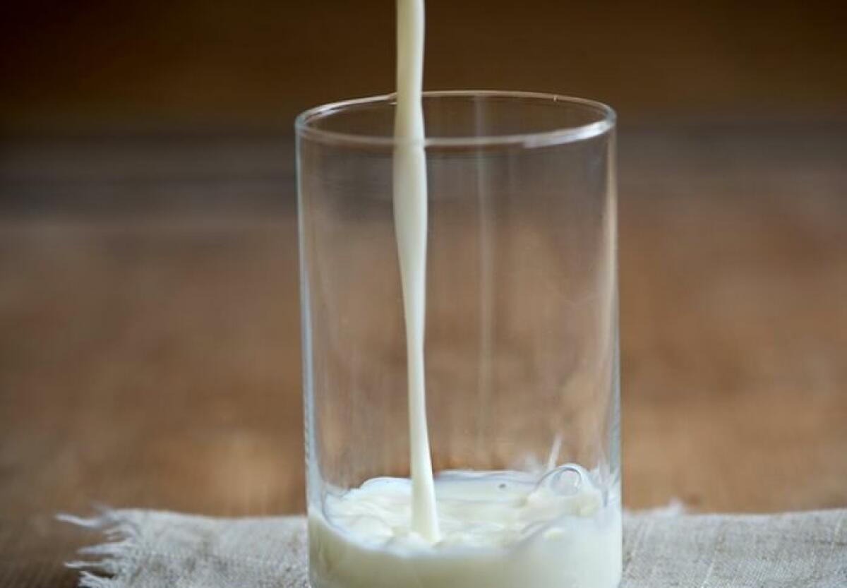 Latte, Patuanelli “Firmato accordo per sostegno a filiera” - 