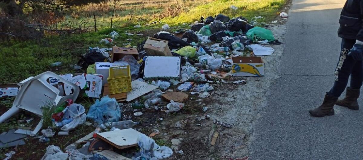 Altre discariche abusive sul territorio, Malluzzo: "Anche in questo caso pronte sanzioni" - 