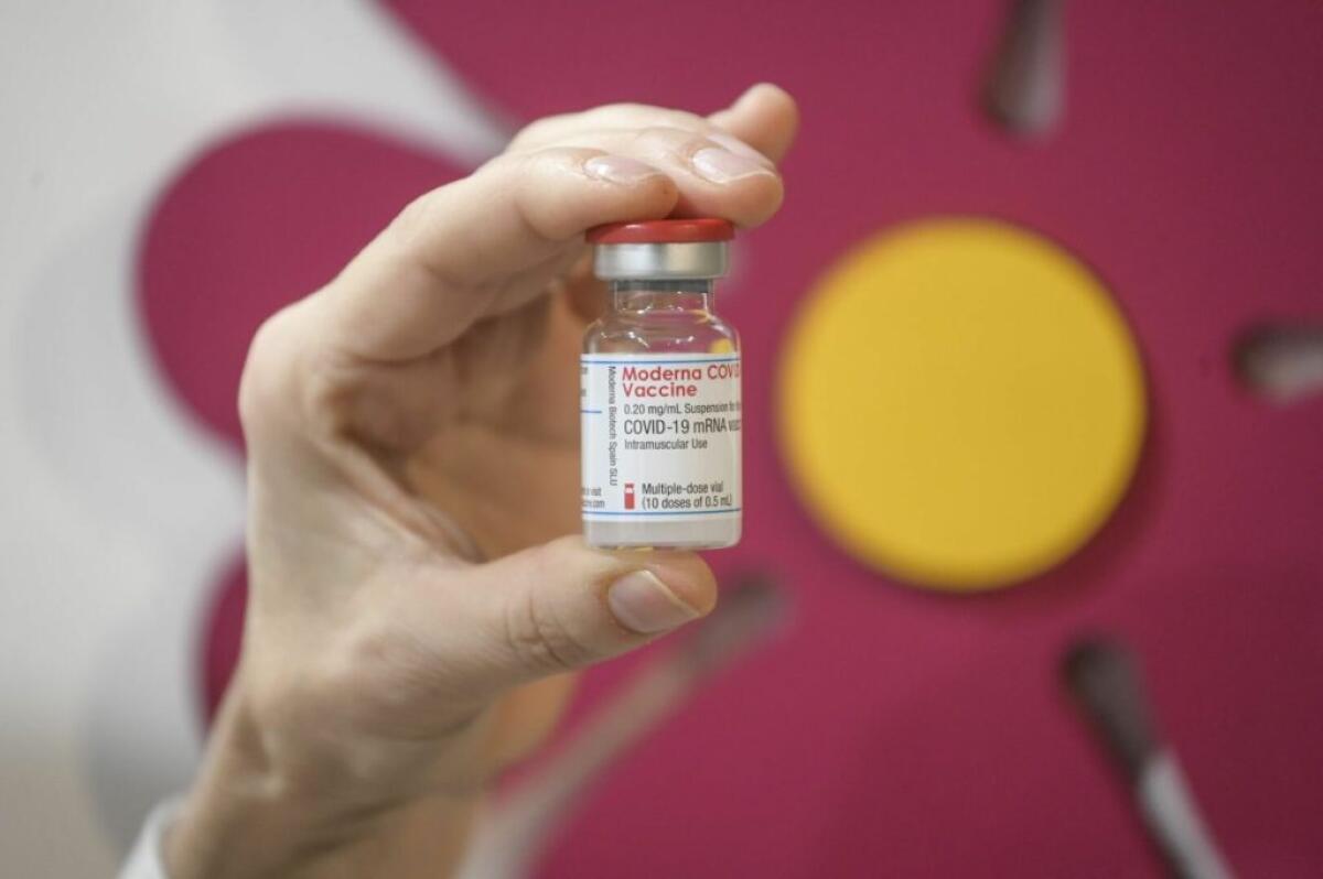 Ordine provinciale medici, "per Natale il regalo migliore è vaccinarsi contro il Covid" - 