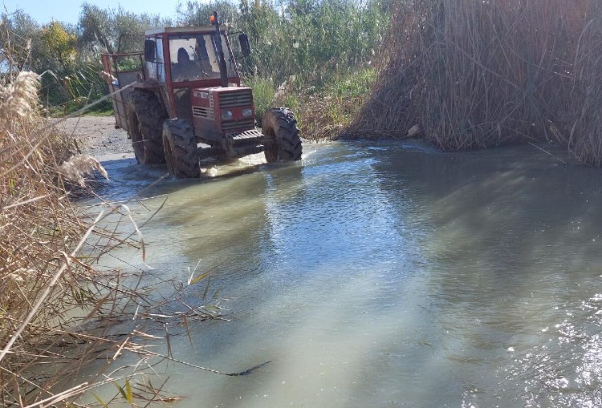 Campi a secco, l'acqua delle dighe in mare o per strada: Gentile, "situazione terribile" - L'acqua delle dighe si perde anche tra le strade rurali