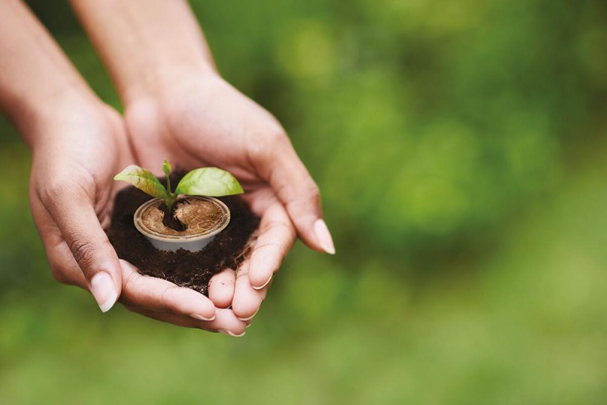 Caffè Borbone lancia una capsula amica della natura - 