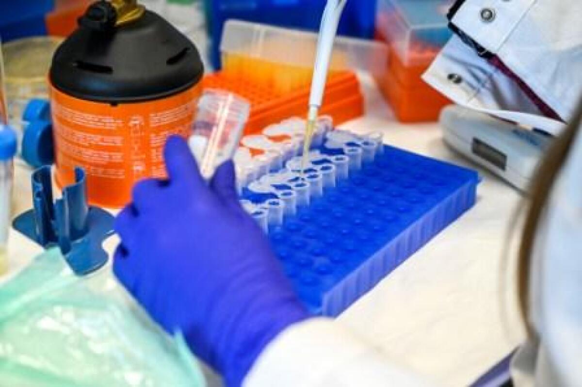 Test rapidi sold out nelle farmacie, centinaia di tamponi venduti in poche ore - 