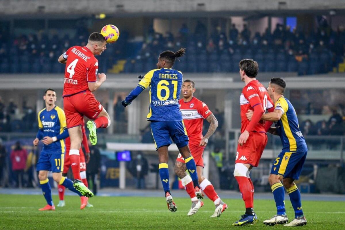 Lasagna e Castrovilli, Verona-Fiorentina 1-1 - 