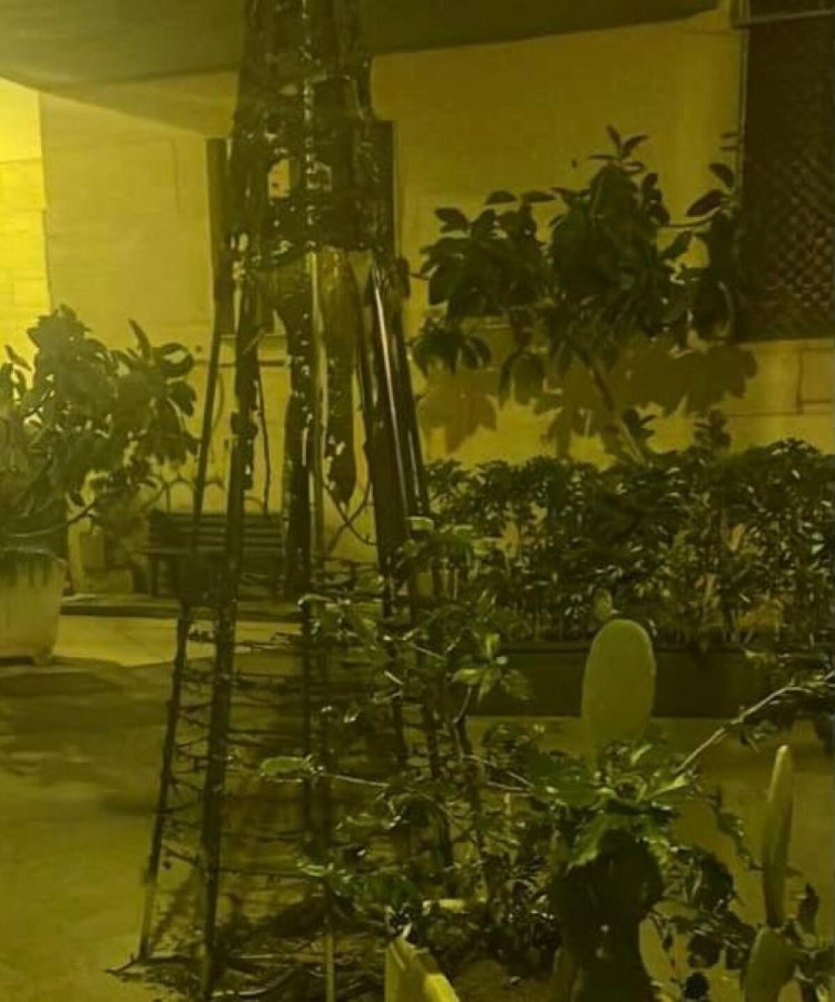 Incendiato l'albero natalizio di una gioielleria: "Colpa di idioti, chi se ne va fa bene" - L'albero distrutto dalle fiamme