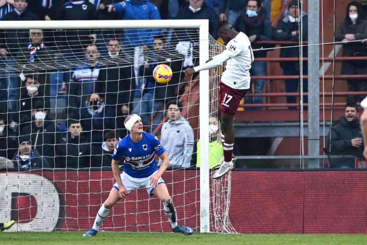 Caputo illude la Sampdoria, rimonta Toro a Marassi - 