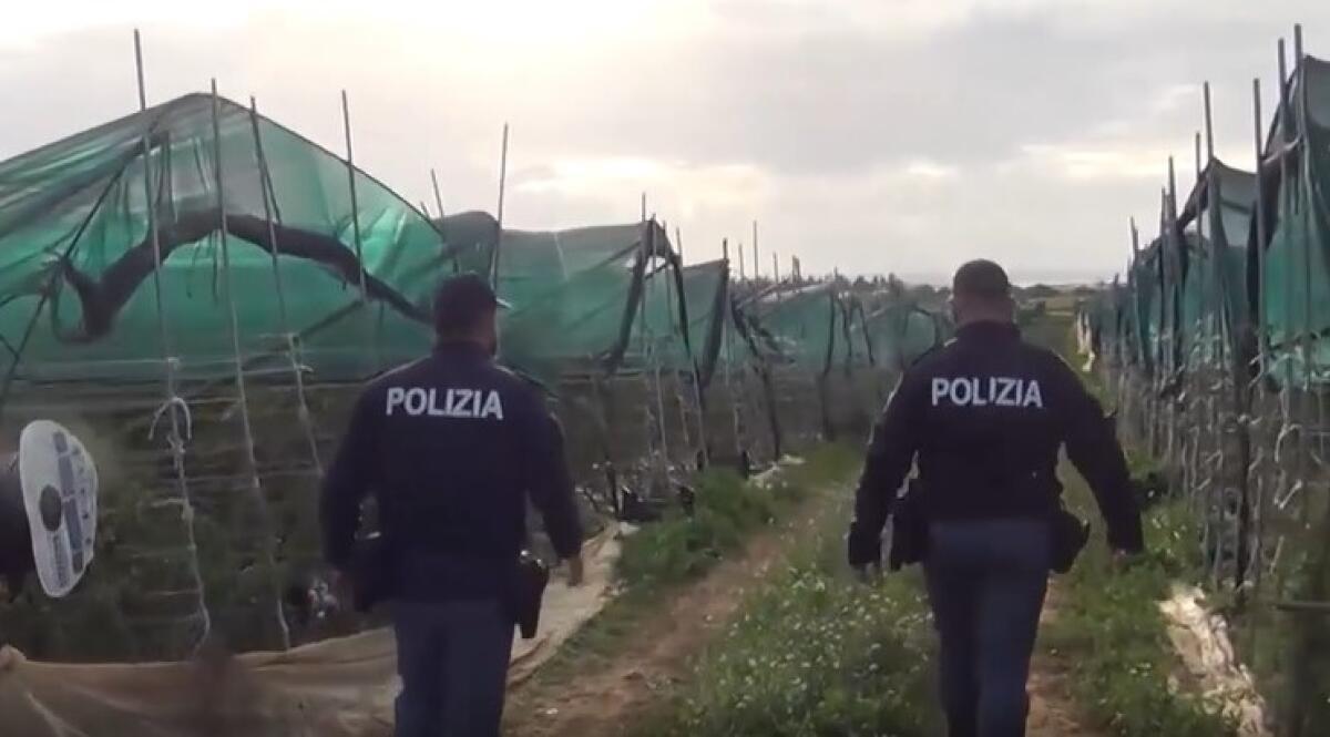 Braccianti agricoli sfruttati nelle campagne locali, due imprenditori denunciati - Immagini di repertorio