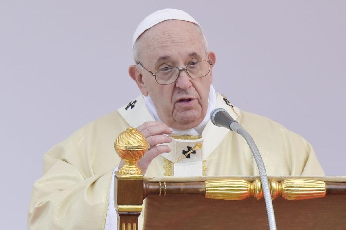 Papa “C’è chi non vuole figli ma ha cani e gatti” - 
