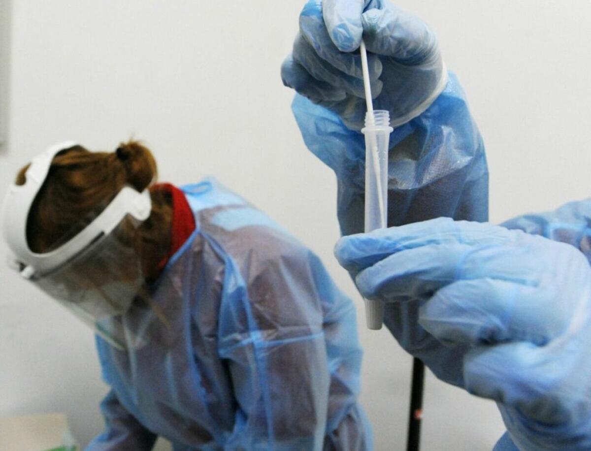 Covid, 77.696 nuovi casi e 352 decessi nelle ultime 24 ore - 