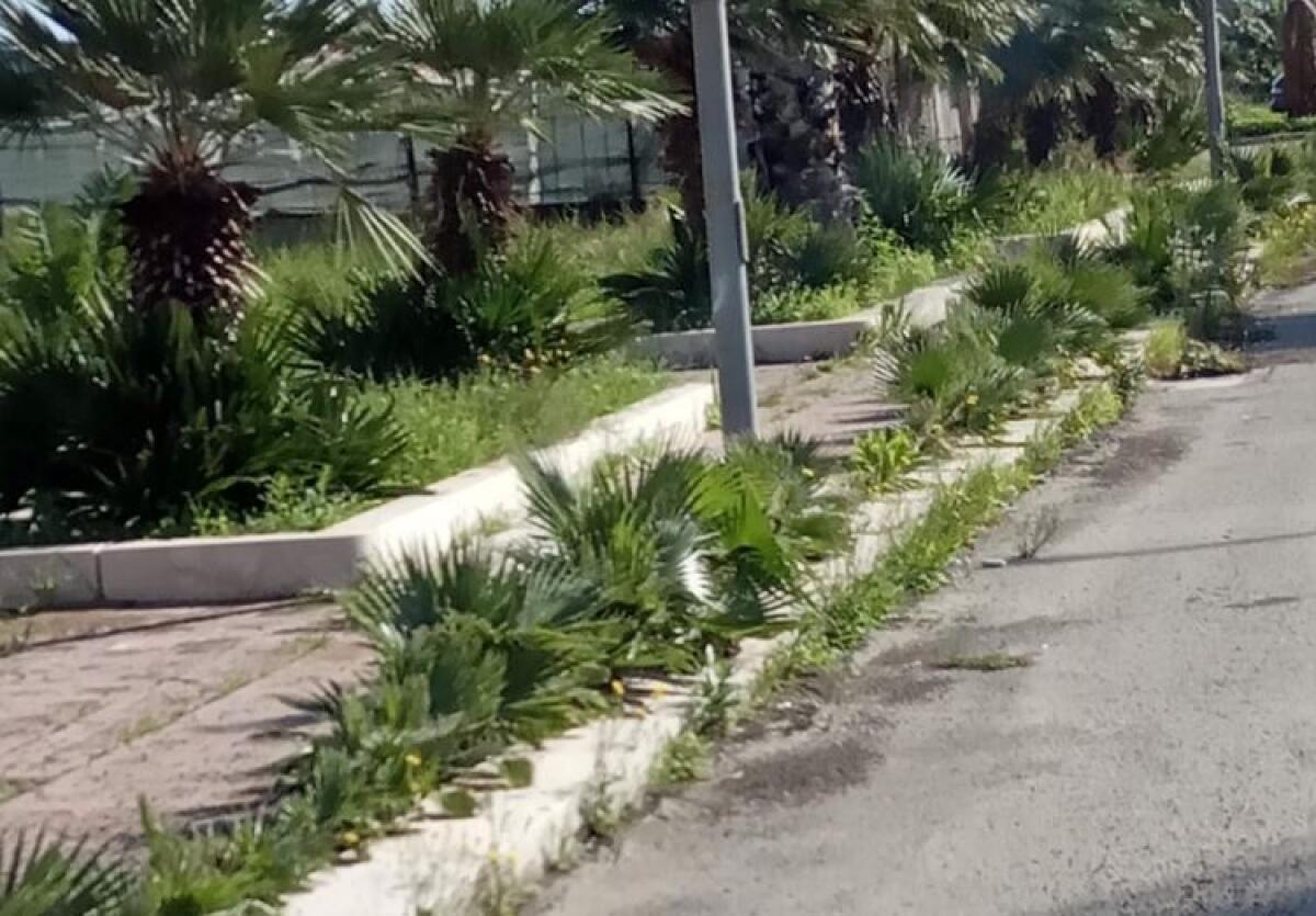 "Spazzamento anche a Giardinelli", Vaccaro: "Già chiesti interventi in via Australia" - Un tratto di via Australia (immagini di repertorio)