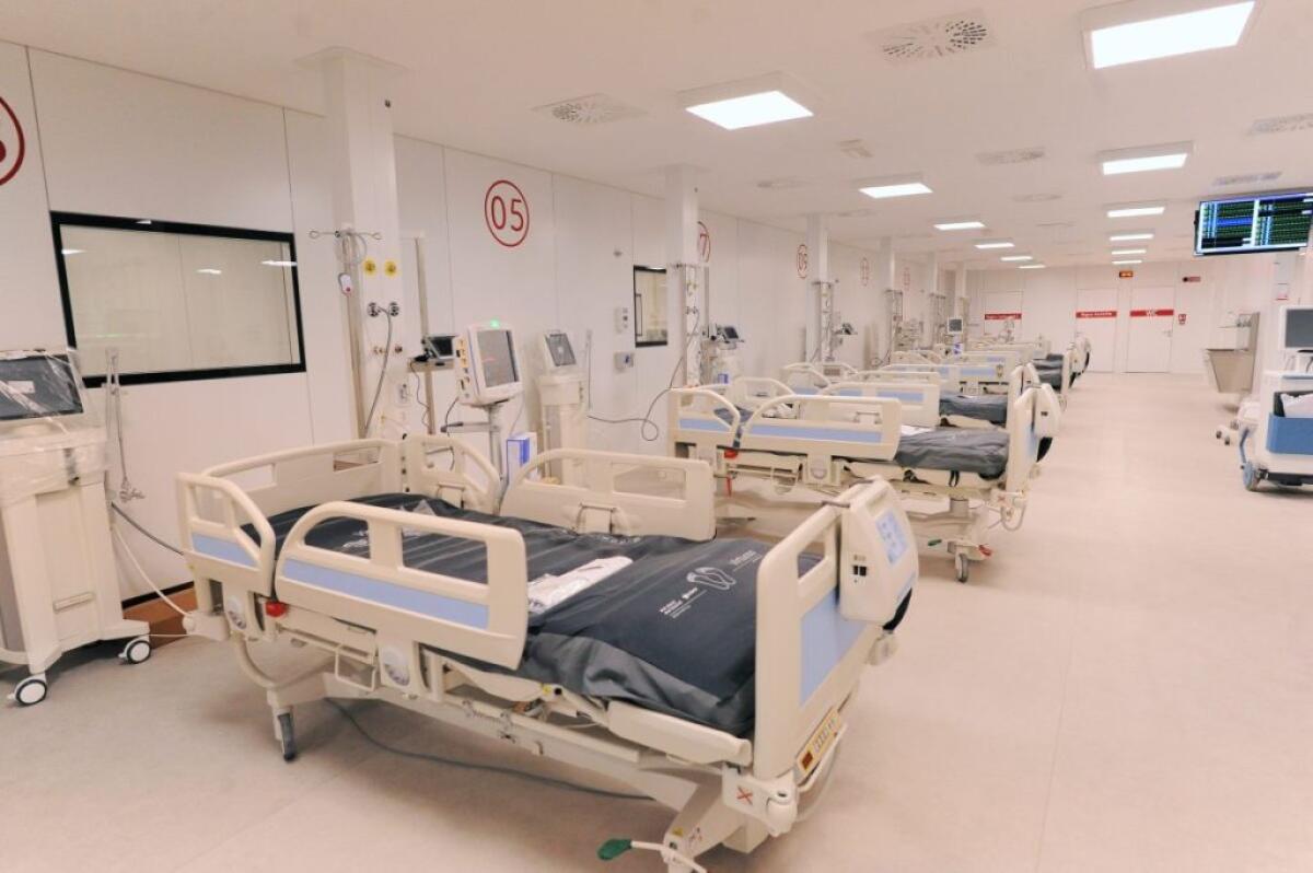 Covid, 186.740 nuovi casi e 428 decessi - 