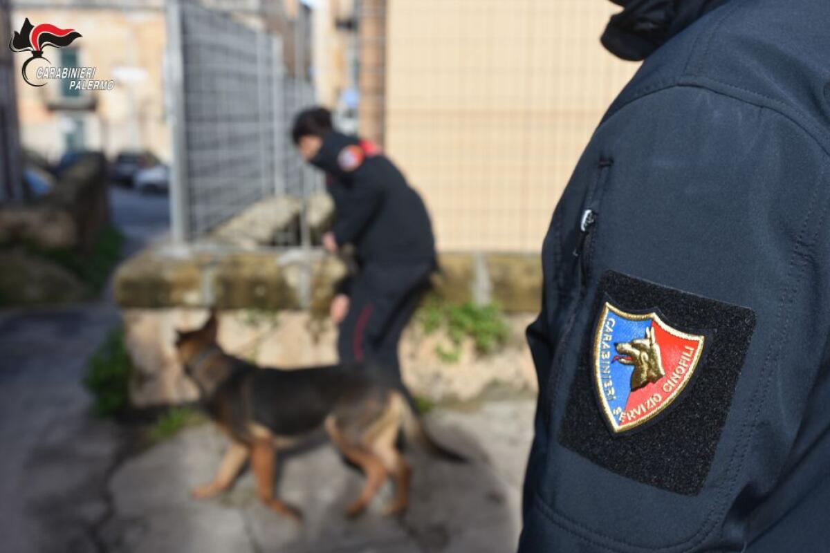 Armi e droga, sei arresti a Palermo - 