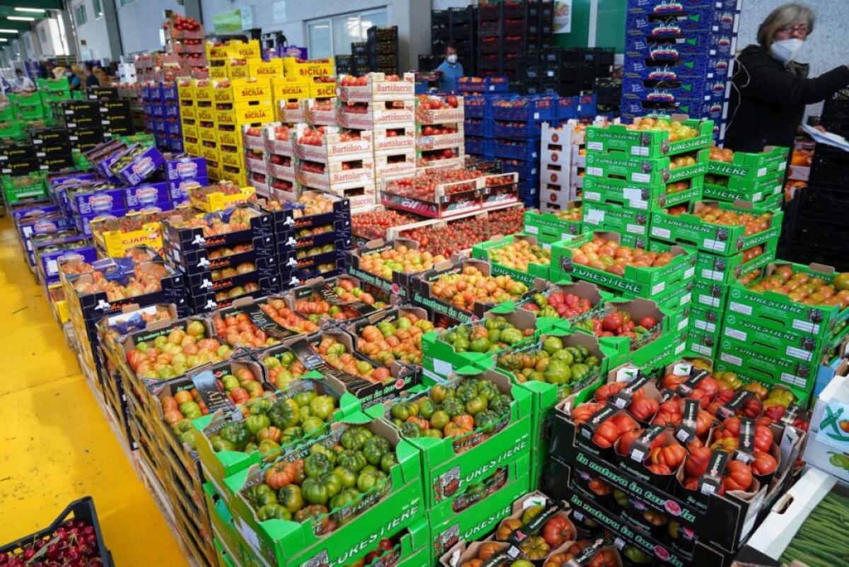 Agroalimentare, nel 2021 l’export dei distretti verso quota 20 miliardi - 