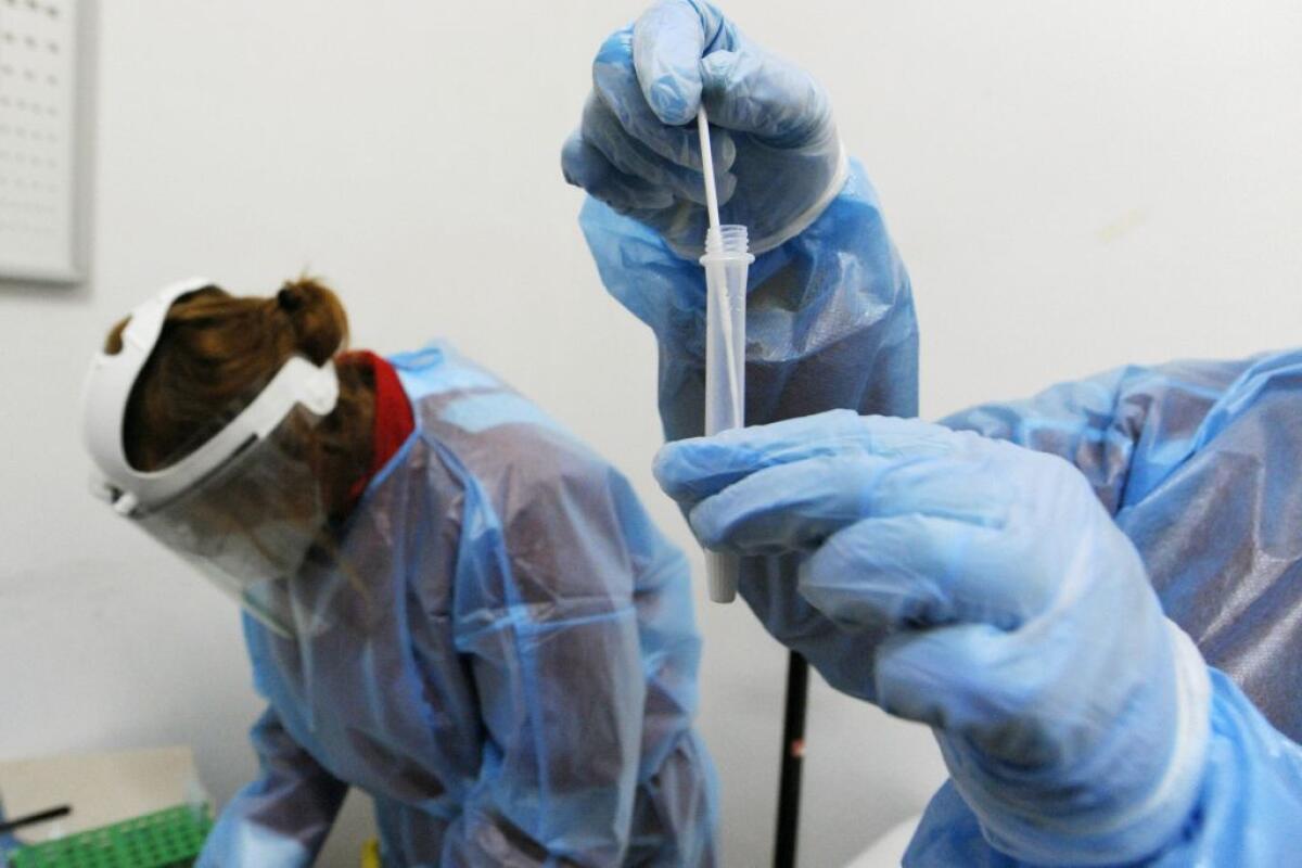 Contagio Covid in città, 81 nuovi positivi e 152 guariti: in totale 1.049 casi - 