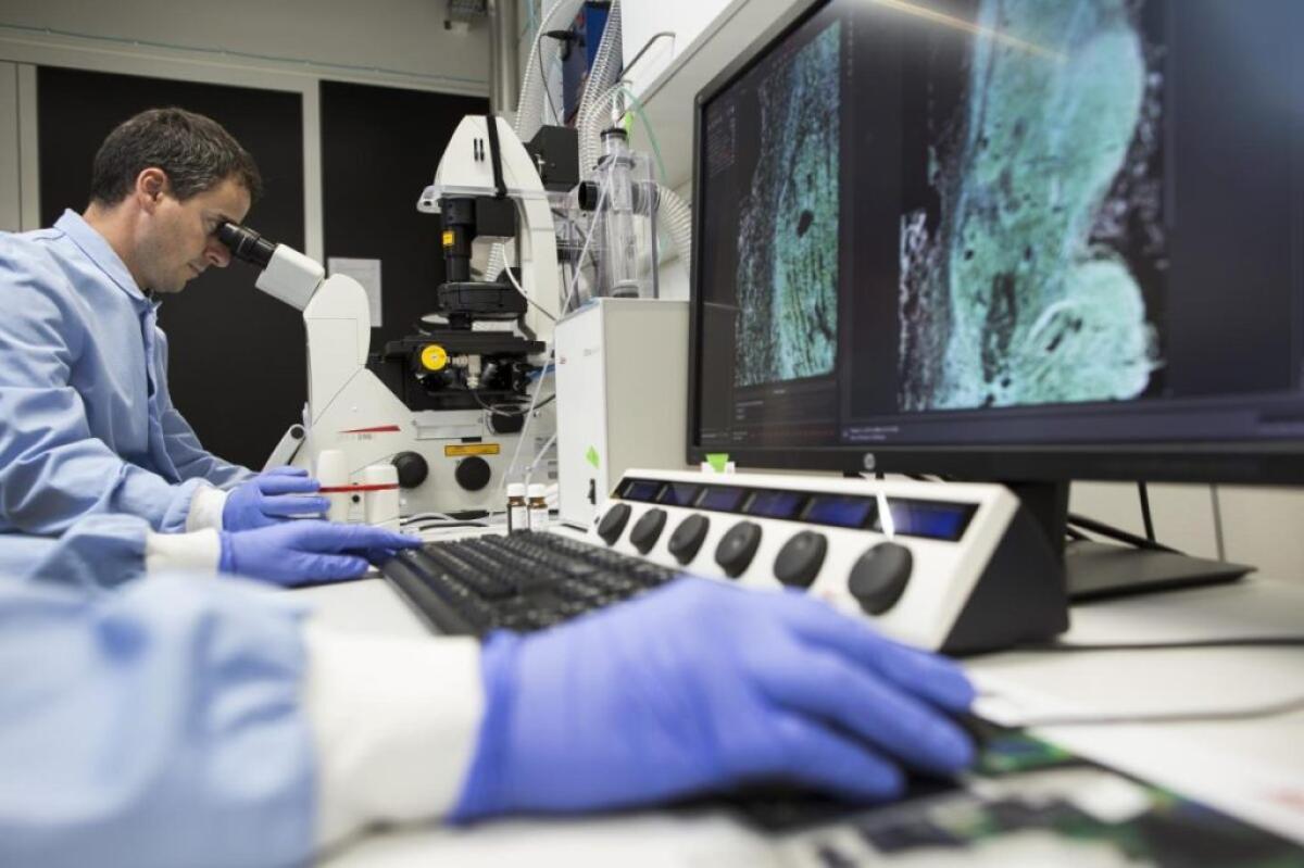 SMA, arriva in Italia il primo farmaco per il trattamento a domicilio - 