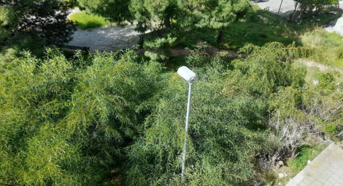 Niente acqua e degrado a Marchitello, residenti: "Trattati come se non avessimo diritti" - Le aree verdi nel degrado