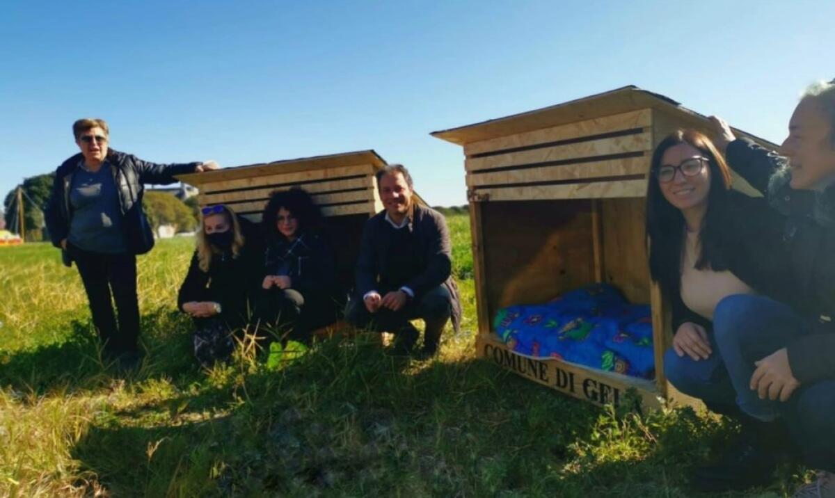 Cuccia recuperata, i poliziotti hanno individuato il ladro: è stato denunciato - Le cucce erano state collocate dall'assessore e dalle associazioni