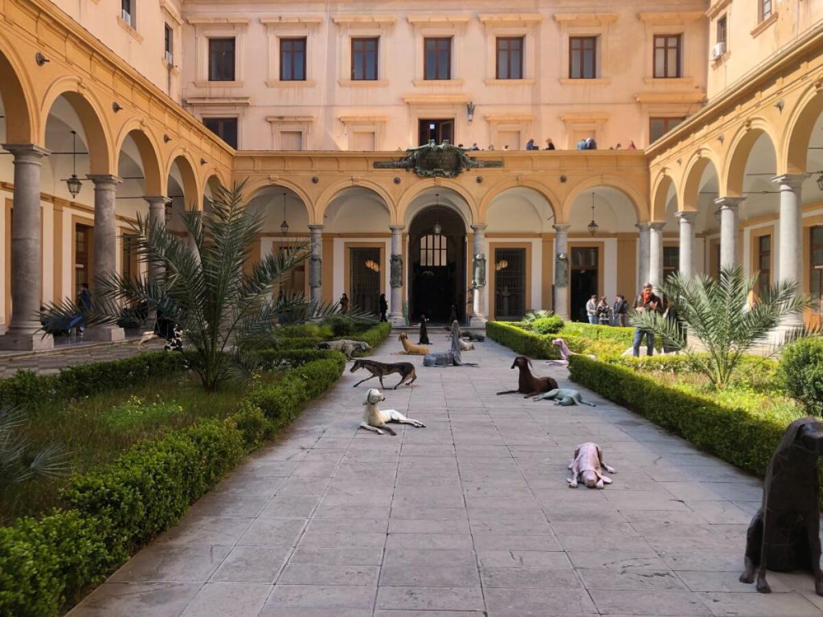 Palermo, il “Branco” di Vitali arriva nella sede di Giurisprudenza - 
