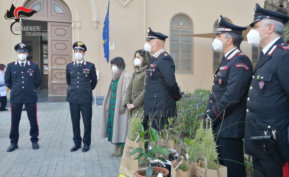 Le Talee dell’Albero Falcone nelle scuole di Palermo - 