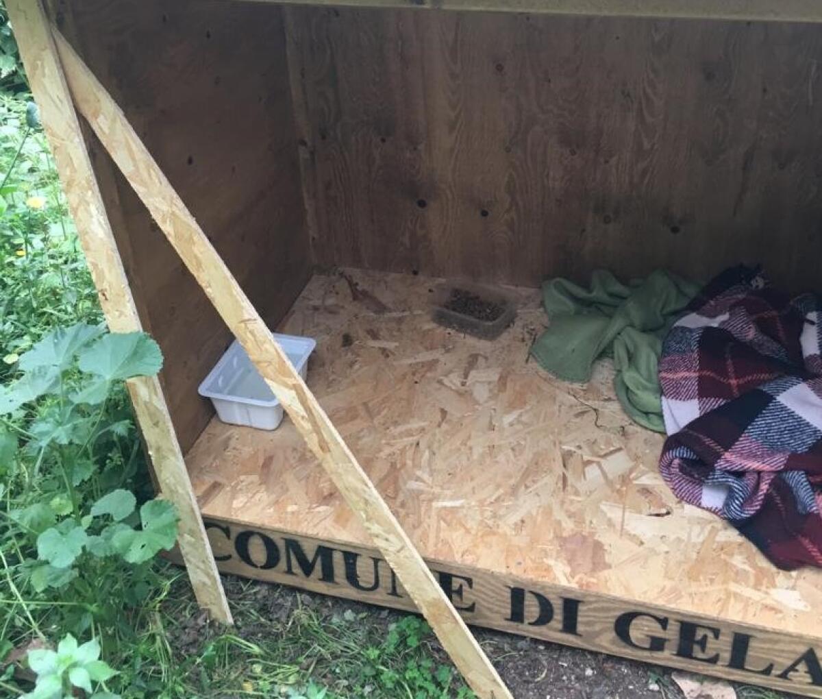 Cucce del Comune sotto tiro, danneggiata quella di via Morselli - La cuccia danneggiata