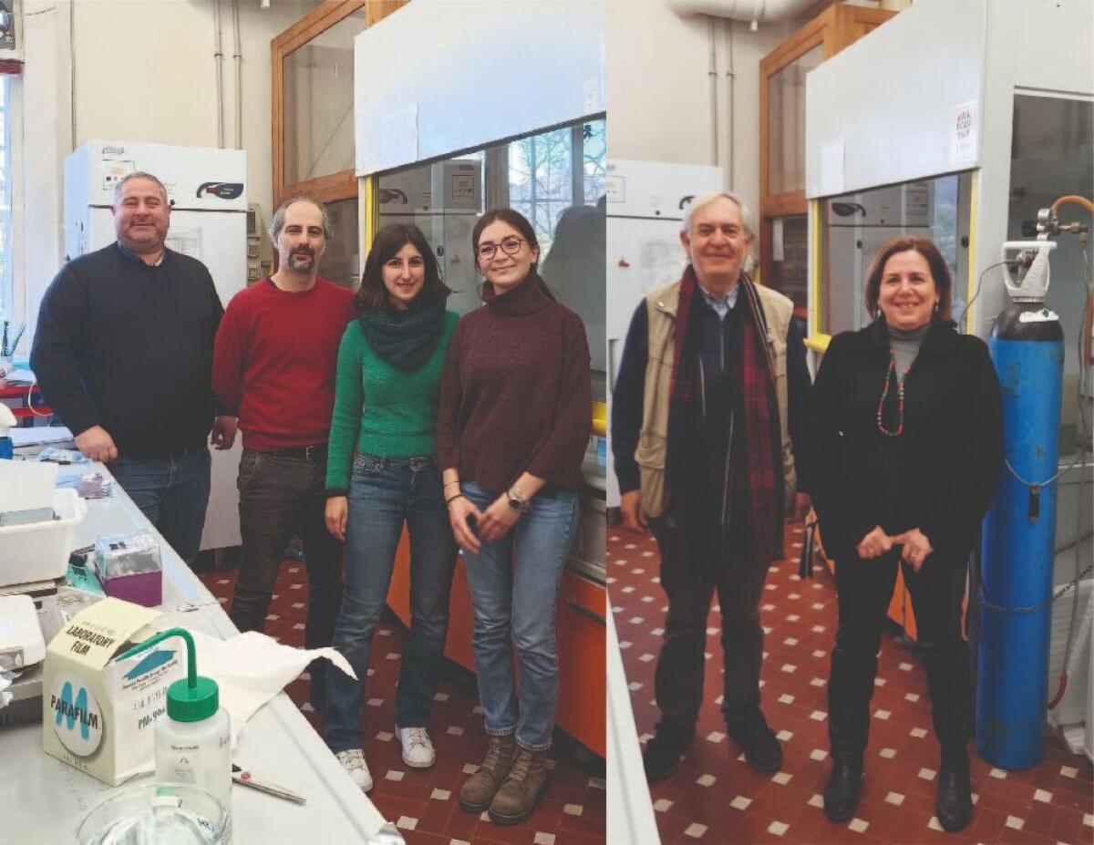 Tumore al seno, pubblicato studio ricercatori dell’Università di Palermo - 