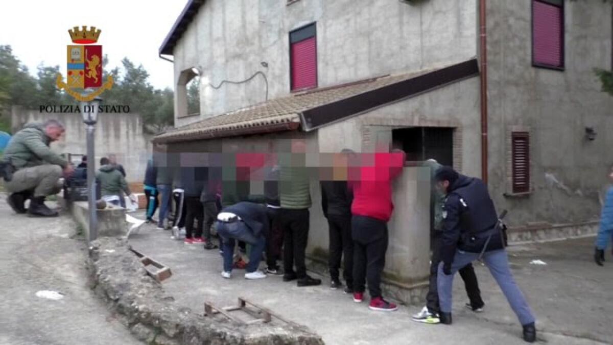 Combattimenti di pitbull a Canicatti', fogli di via anche per i gelesi - 