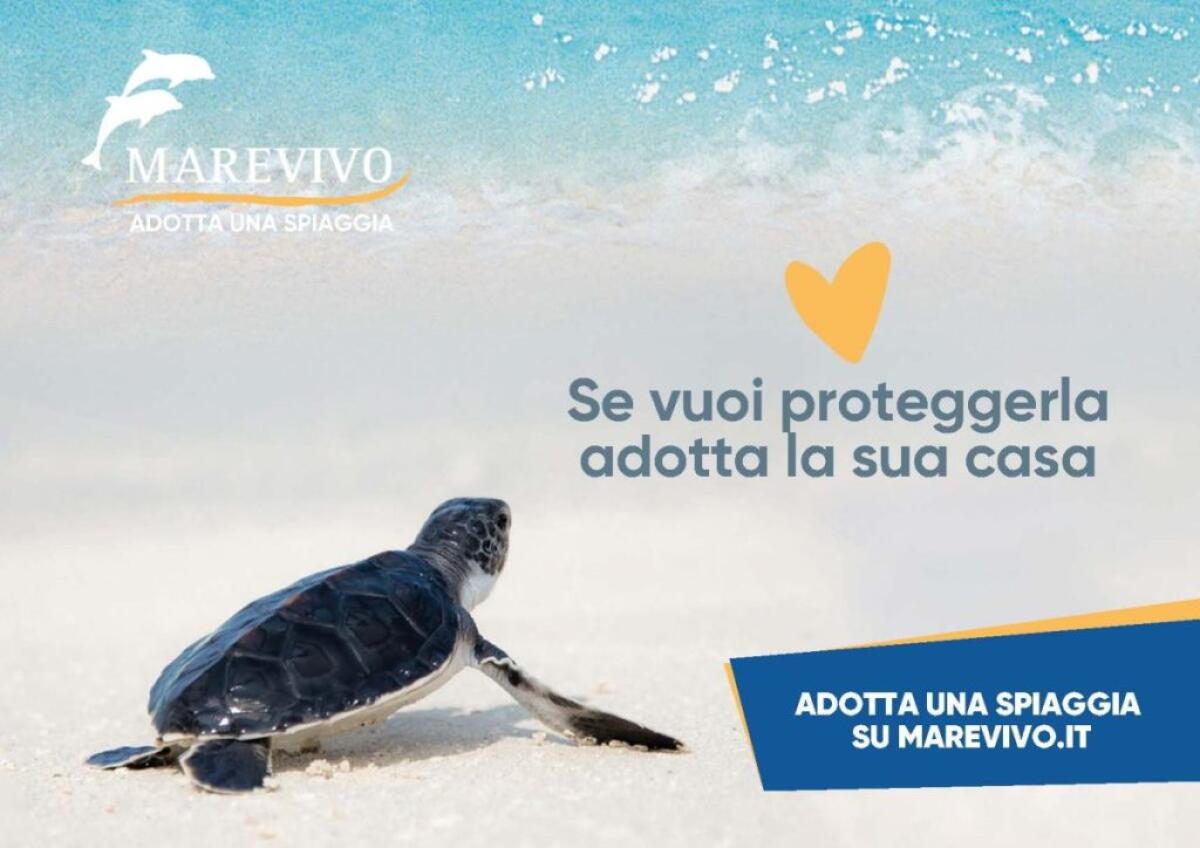 Riparte la campagna nazionale di Marevivo “Adotta una spiaggia” - 