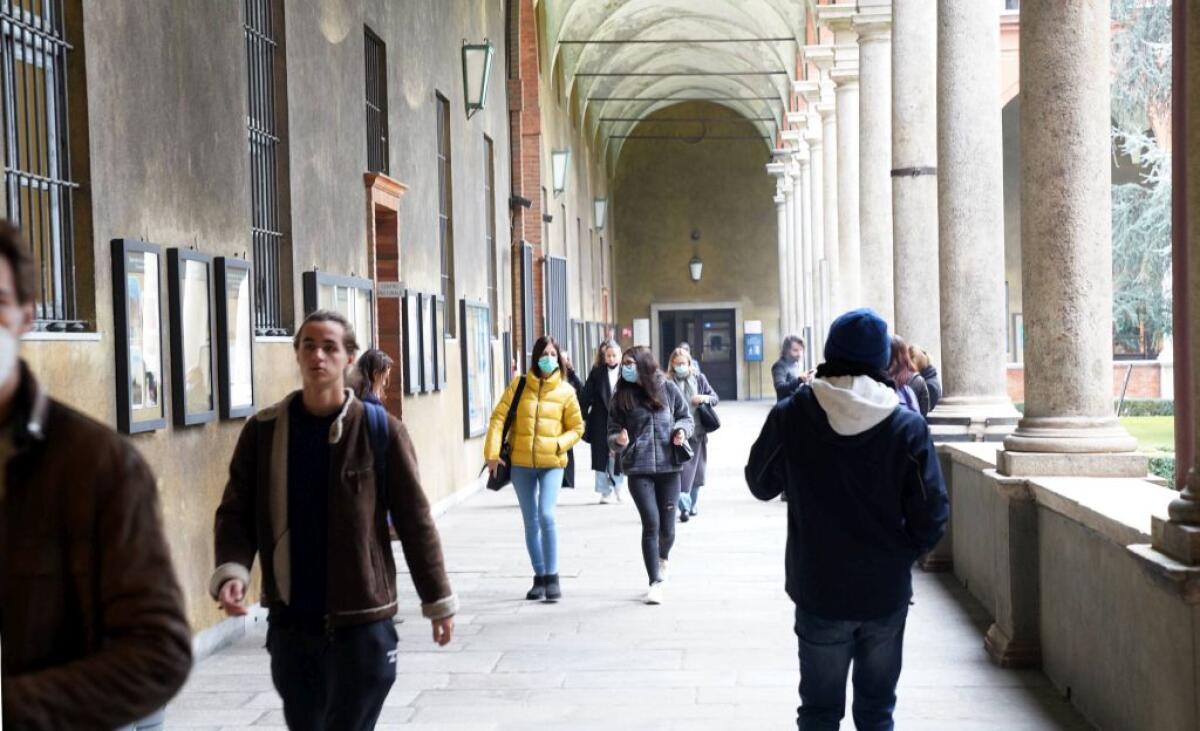 Contraffazione, solo il 14% del fenomeno è legato alle vendite online - 