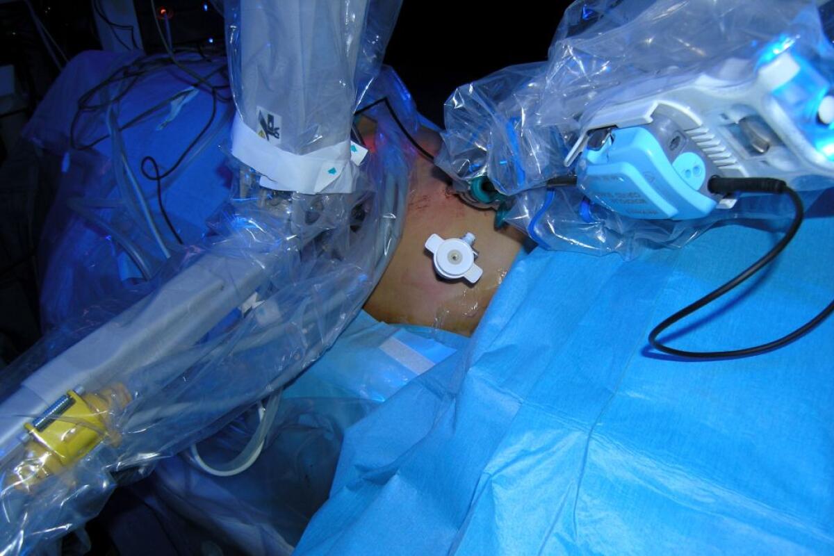 Donazione organi, Geraci Siculo è il comune più generoso d’Italia - 