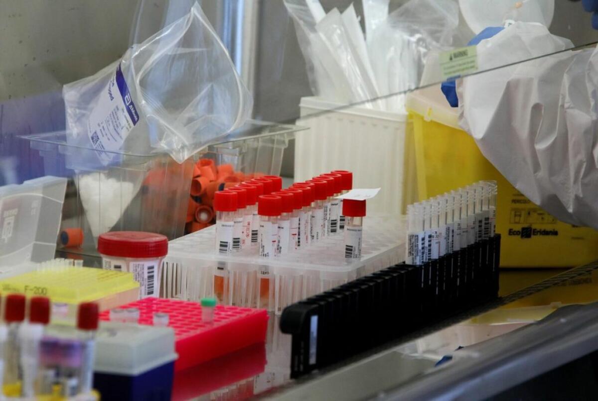 Il palermitano Ciaccio rieletto presidente della SIBioC-Medicina di Laboratorio - 