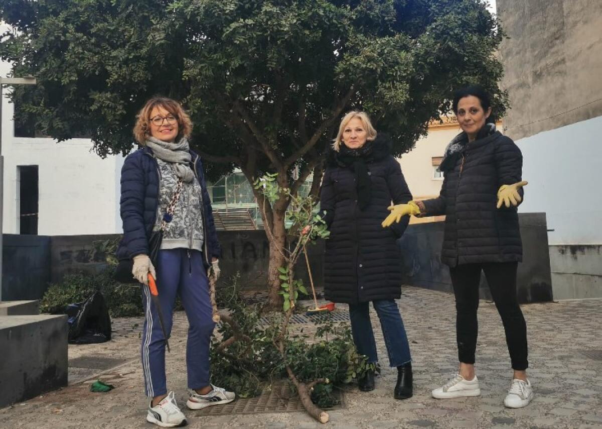 Vico Santa Lucia rinasce grazie ai residenti: potature e decoro per rilanciare il bello - Anna Carrera, Rina Migliore e Maria Rosa Battaglia