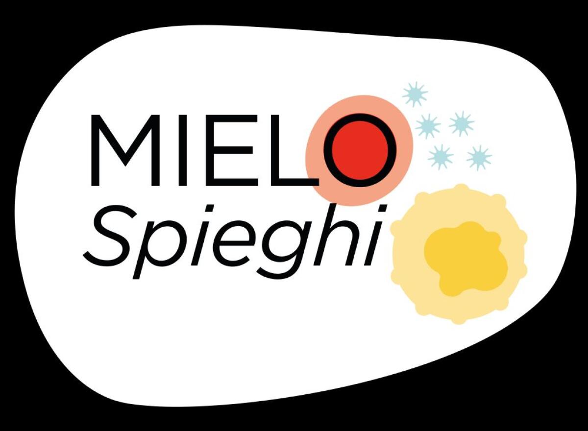 Tumori rari del sangue, ritorno alla vita focus di Mielo-Spieghi 2022 - 