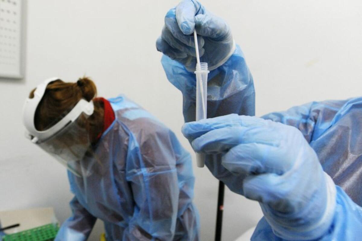 Scende ancora il contagio Covid in città, 960 positivi: 36 nuovi casi e 53 guariti - 