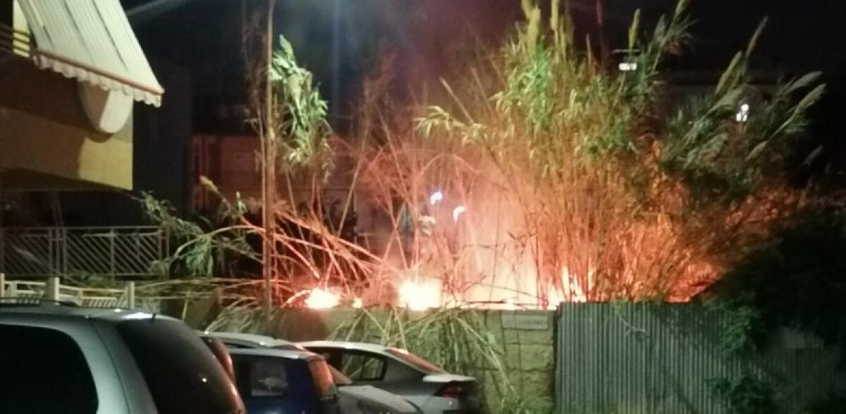 Ancora roghi nelle aree incolte, fiamme in via Morselli: due volta in un solo giorno - Le fiamme in via Morselli