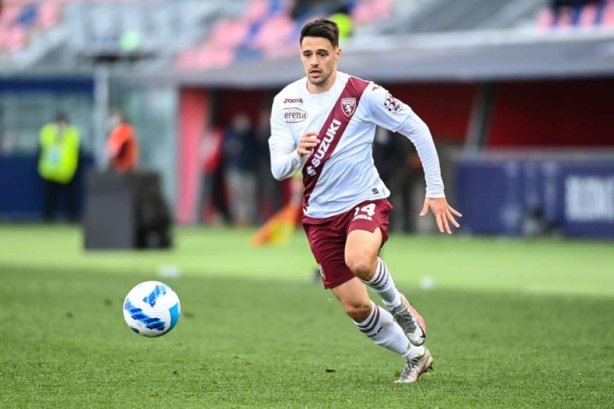 Brekalo rovina la festa del Bentegodi, Verona-Torino 0-1 - 