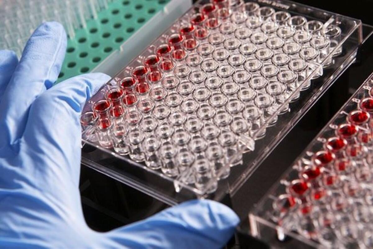 Ricerca in Onco-Ematologia, premiati i vincitori del bando di Sanofi - 