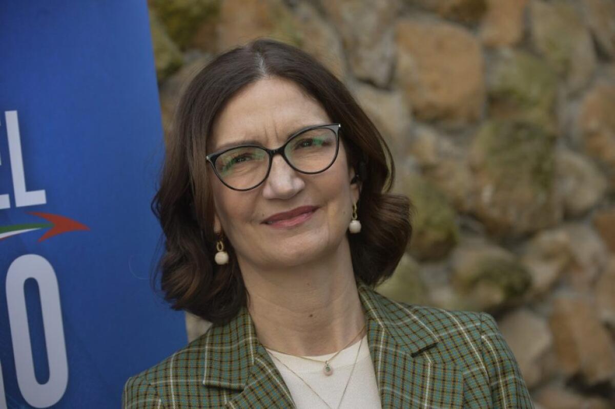 Gelmini “Con il Dl Aiuti adeguiamo i prezzi degli appalti ai rincari” - 