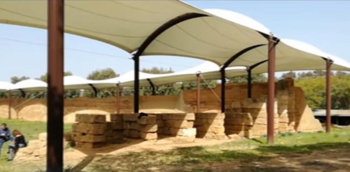 Mura Timoleontee chiuse per randagi? Direttore preoccupato dalla presenza dei cani - 