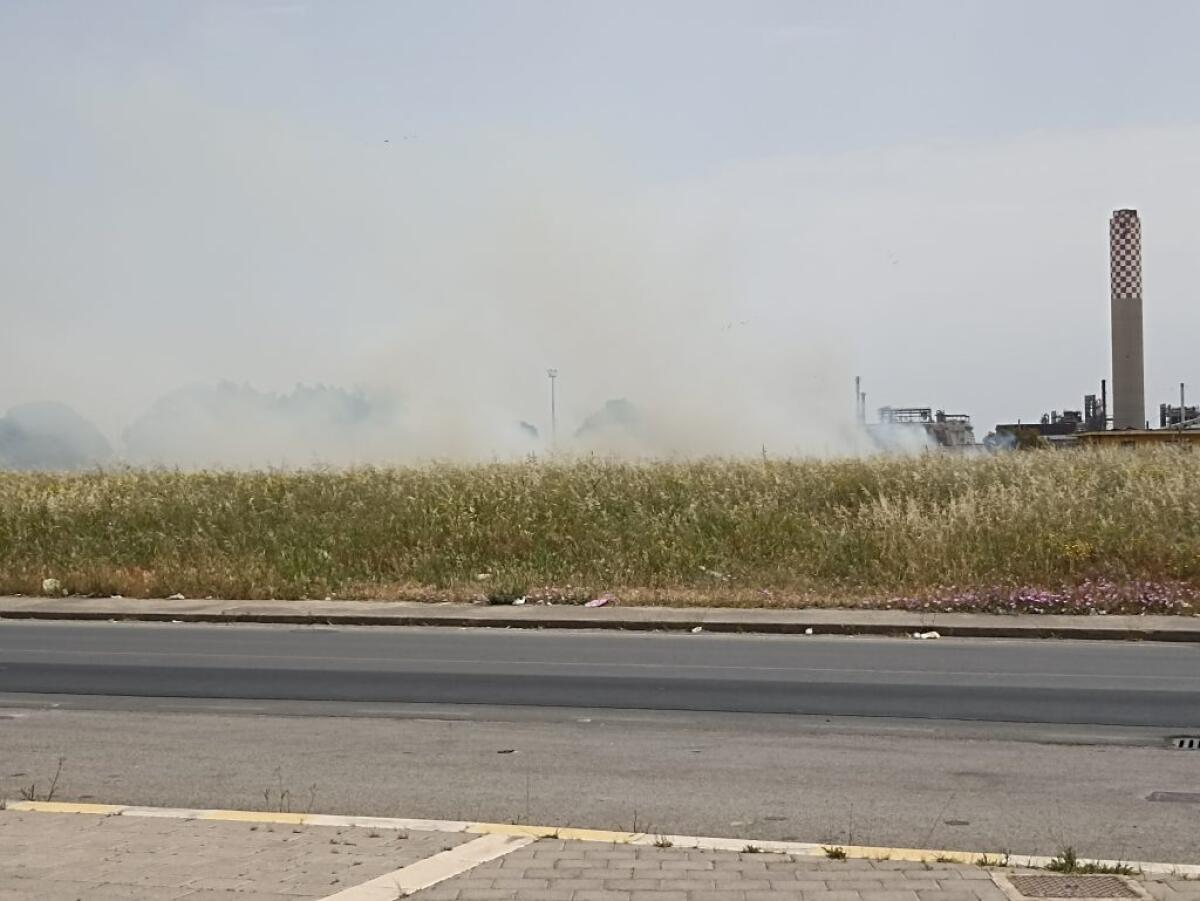 Fiamme a ridosso del tribunale, vasta area incolta sempre più pericolosa - 