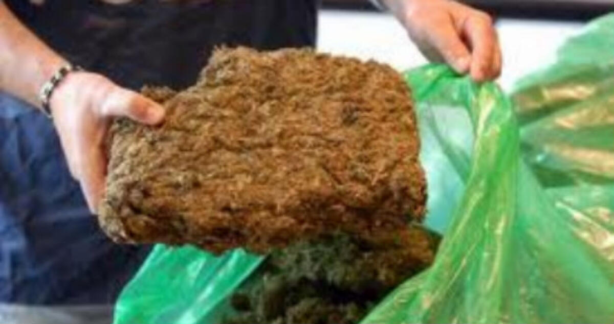 Marijuana e hashish a casa, arrestato e rilasciato dopo 3 giorni un 40enne - 