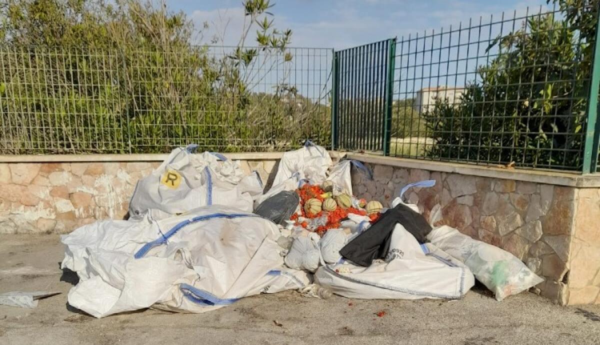 A Montelungo ancora rifiuti, troppi continuano a trattarla come terra di nessuno - Rifiuti e scarti agricoli lasciati sui big bag