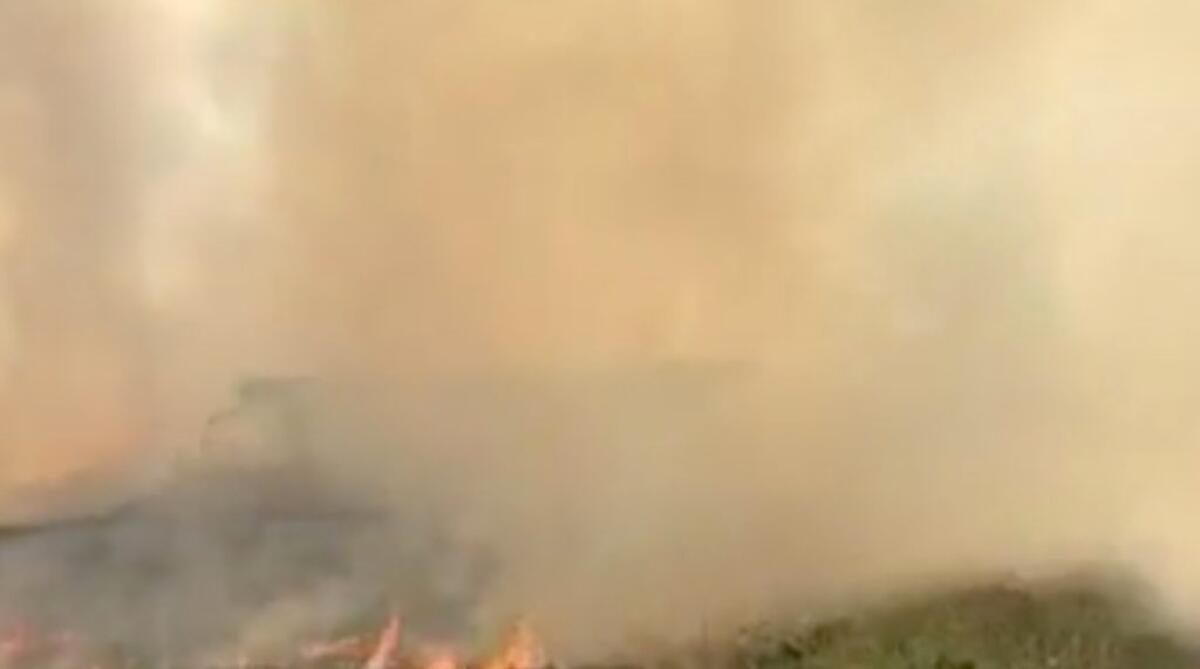 Incendio in un'area incolta a ridosso del tribunale, fiamme e fumo intenso - 