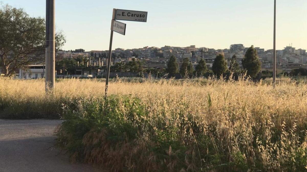 Sterpaglie e verde incolto, in via Strauss chiesti interventi di pulizia - L'area incolta a Settefarine