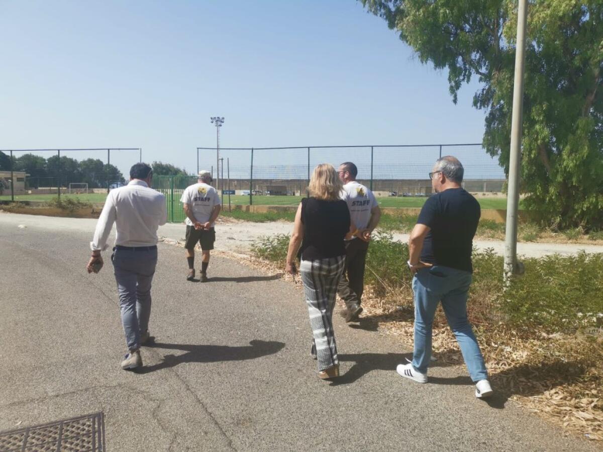 Randagi, sopralluoghi nelle zone a rischio per individuare il branco - 